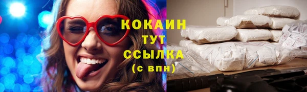 соль ск Абаза