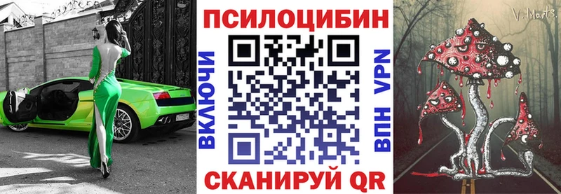 Псилоцибиновые грибы прущие грибы  Кандалакша 