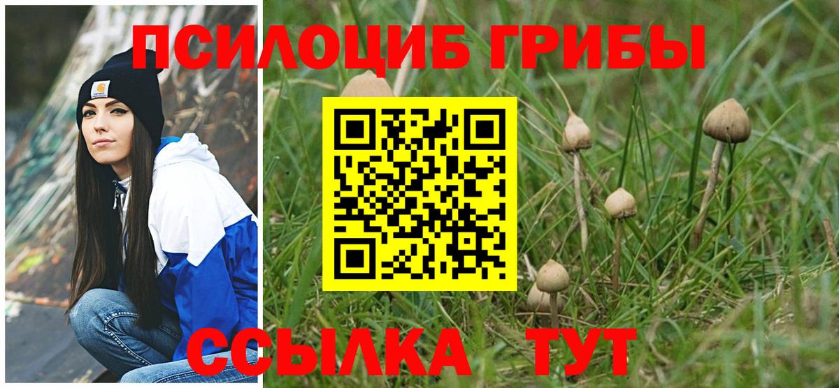 Псилоцибиновые грибы мухоморы  Псилоцибиновые грибы Cubensis  Вход с VPN  Кандалакша 